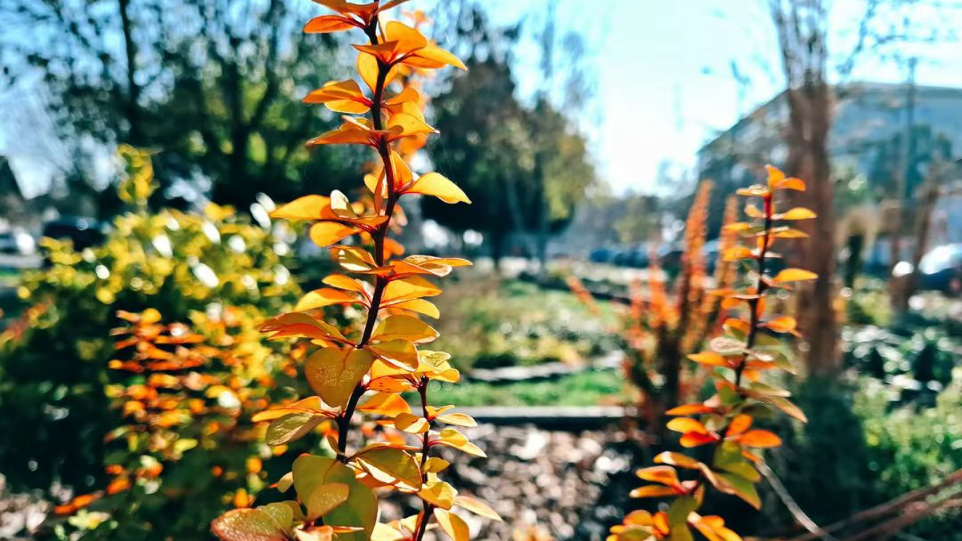 Tiszaföldvár panoráma