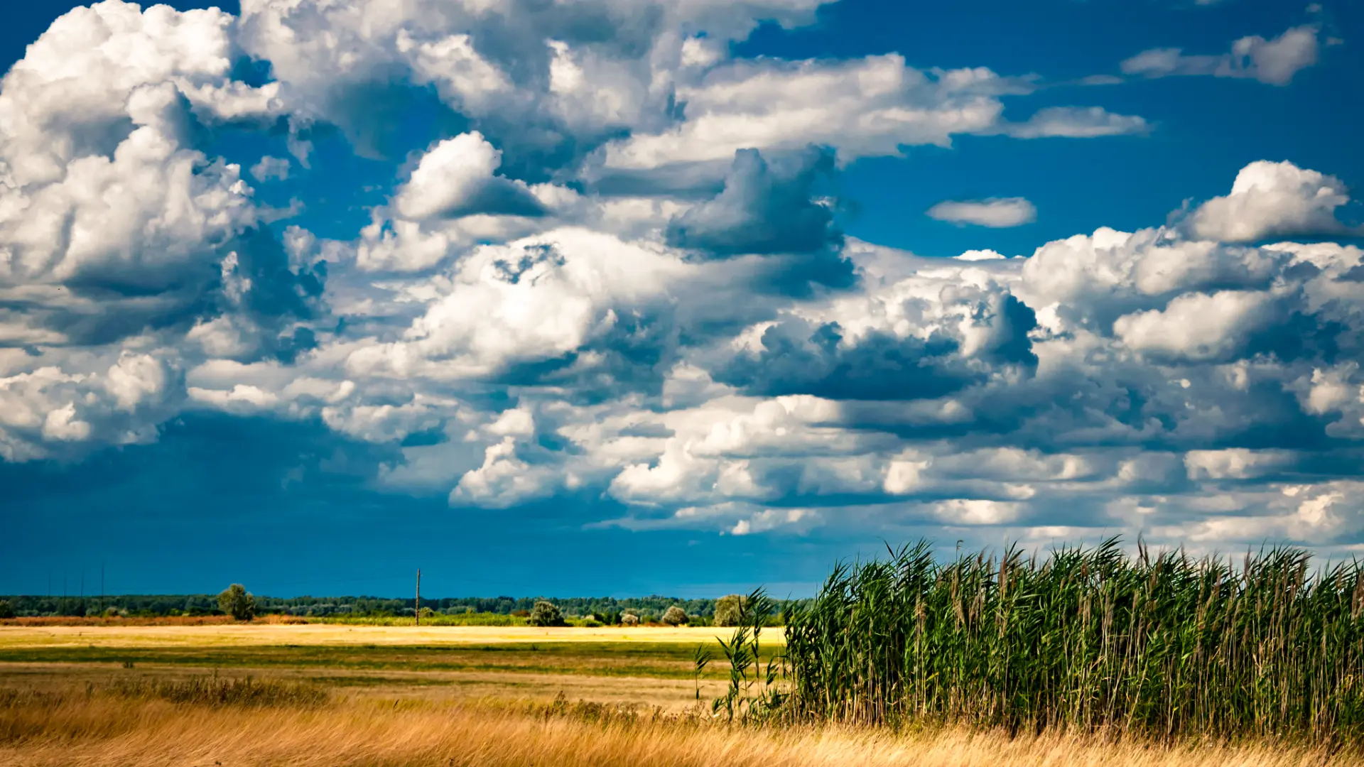Tiszaföldvár helyigazdaság