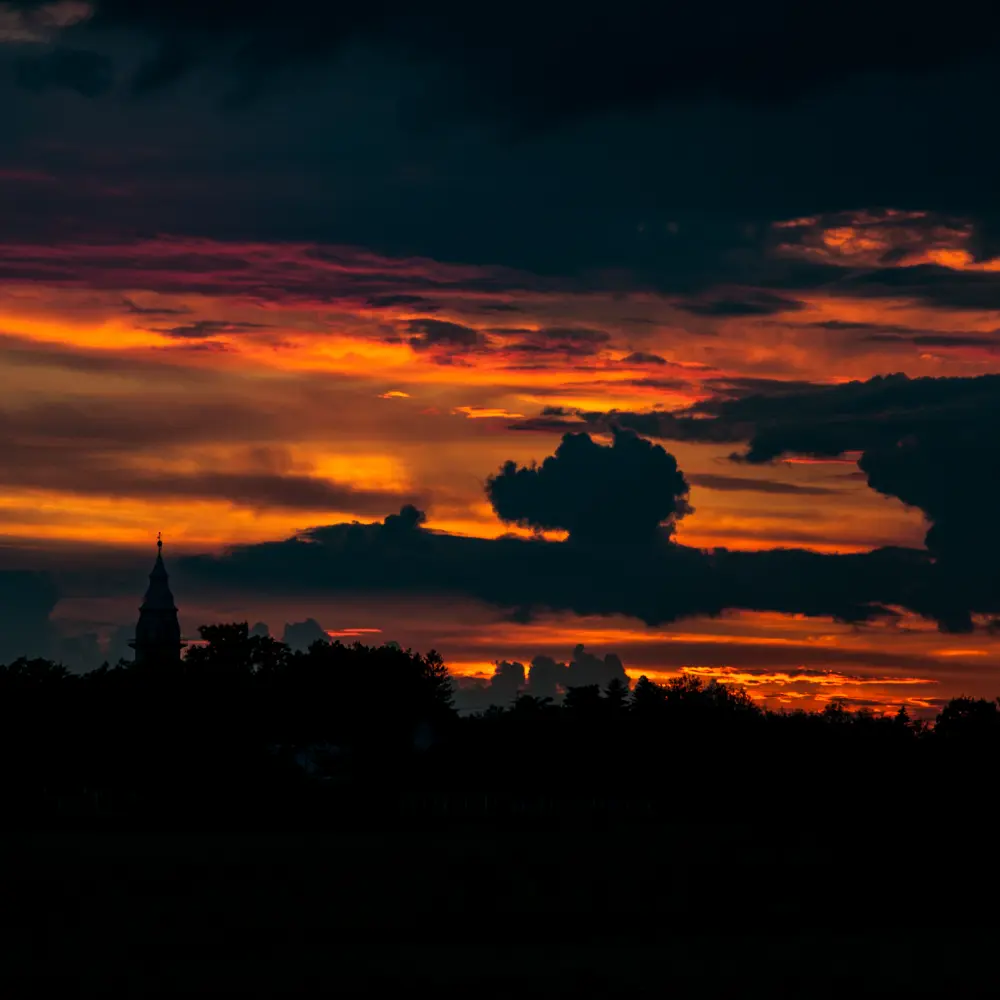 Aranybarna búzatábla Tiszaföldvár környékén