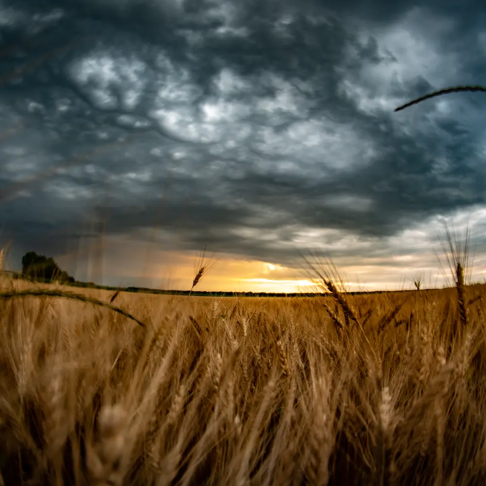 Éjszakai villámvihar Tiszaföldvár felett