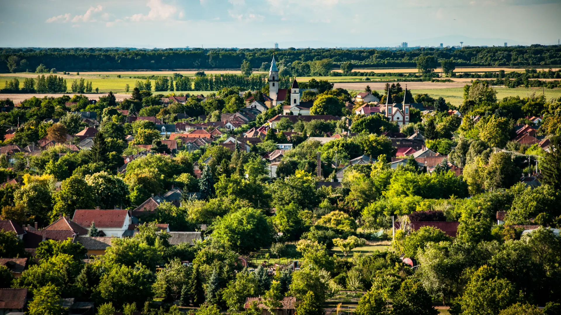 Tiszaföldvár település