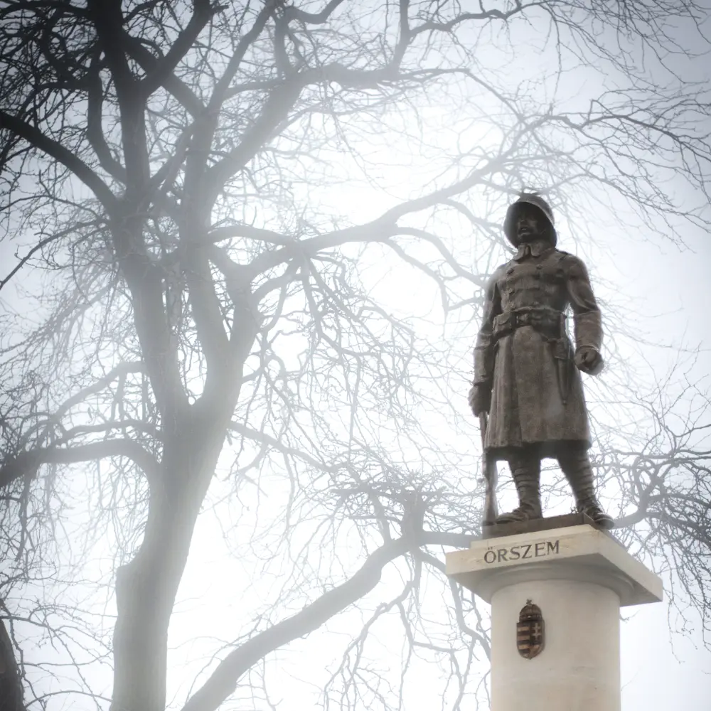 Tiszaföldvár városi információk