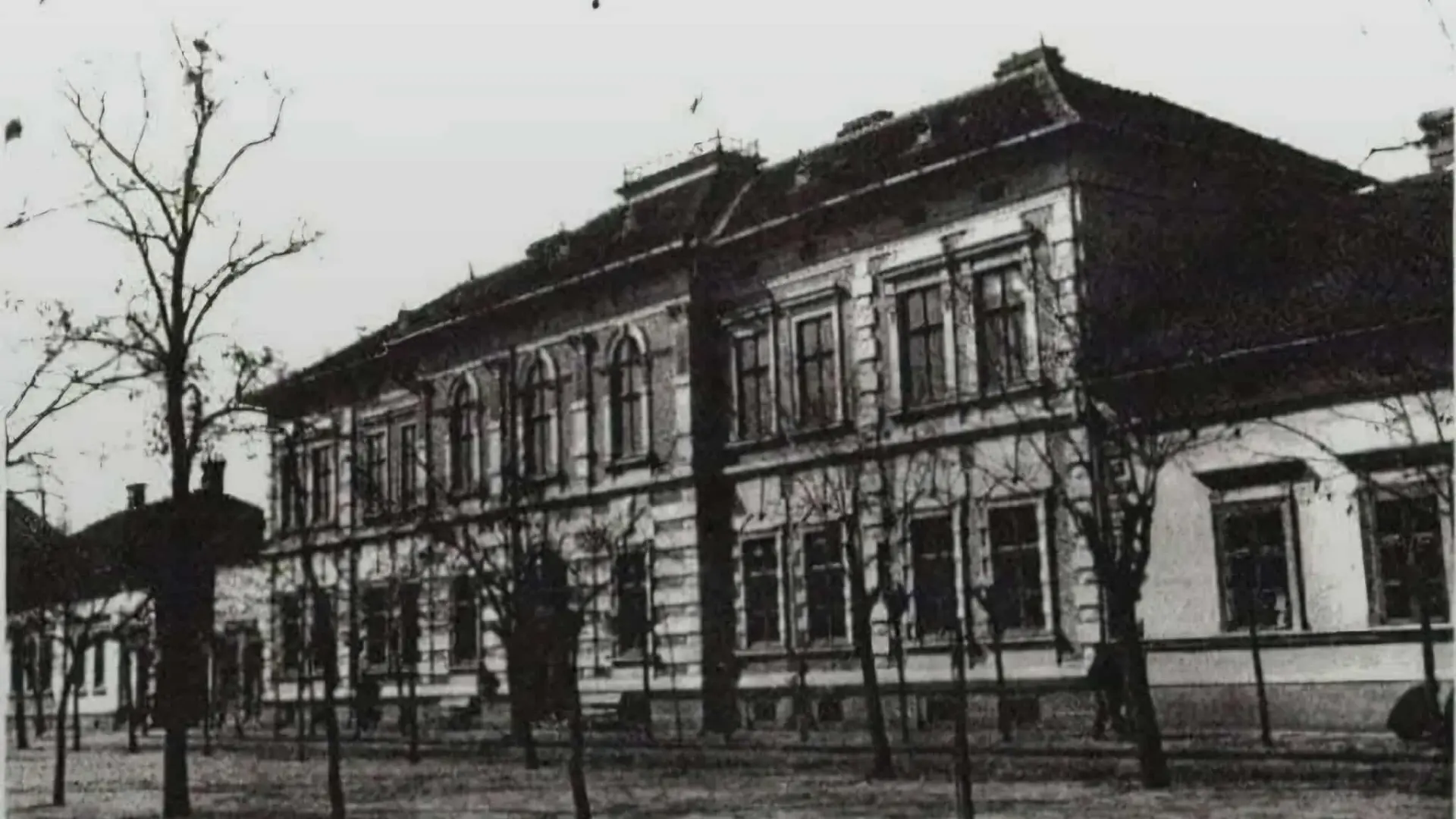 A grófi kastély parkja