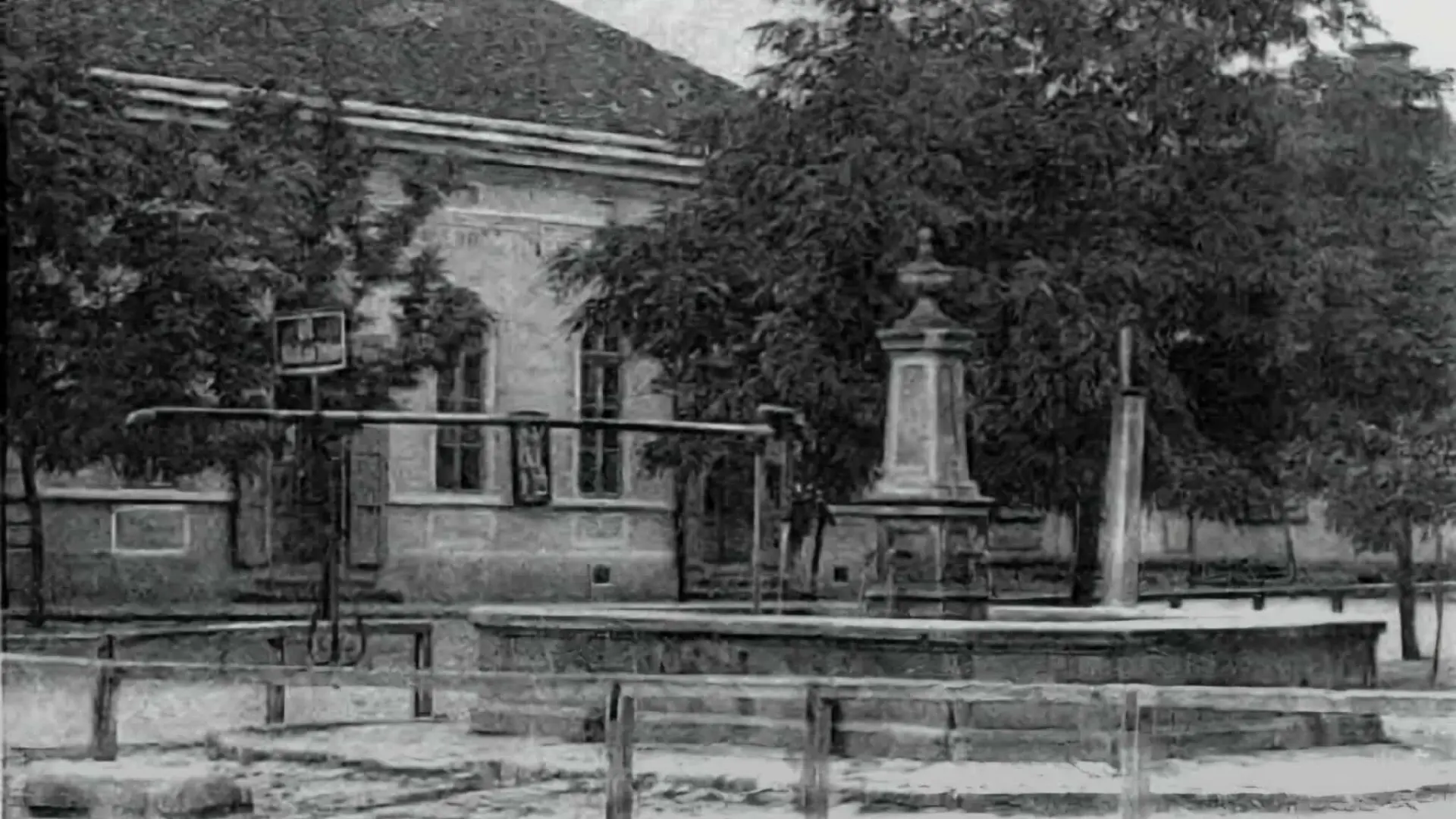 A grófi kastély parkja