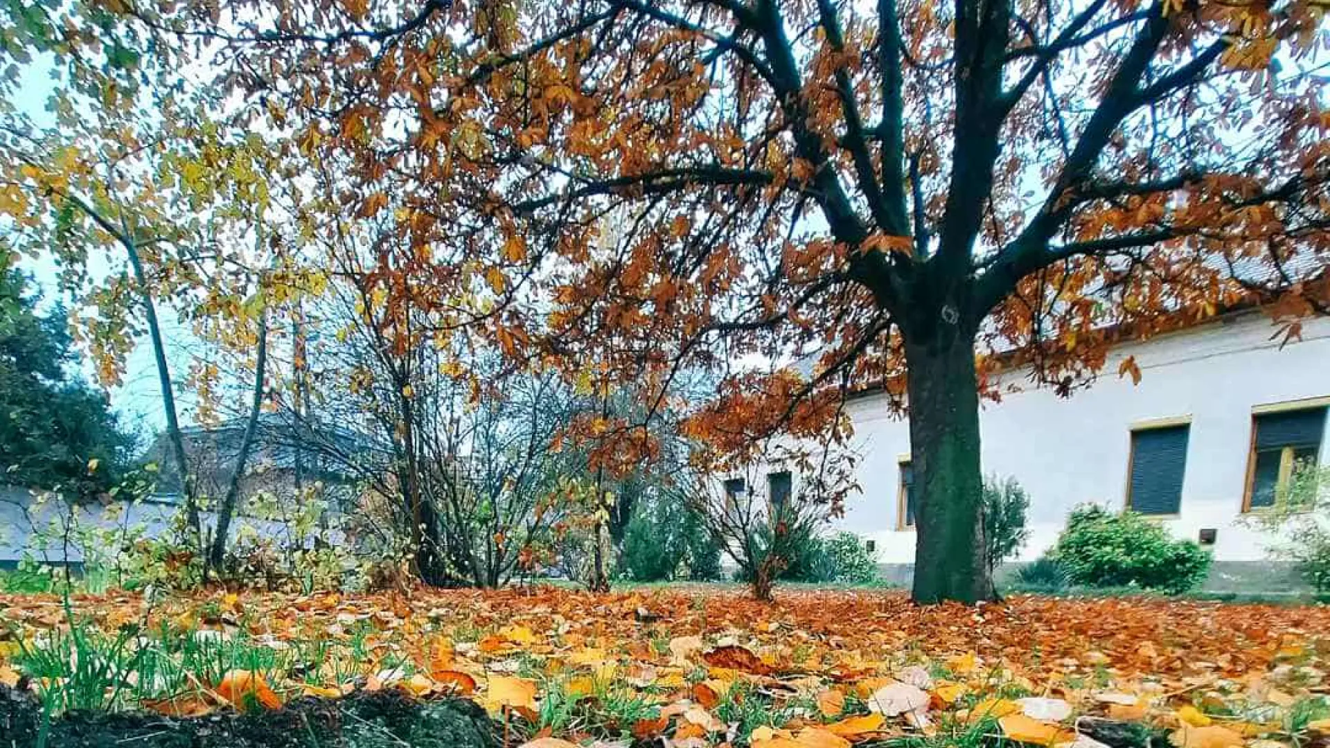 Tiszaföldvár gazdasági közösség