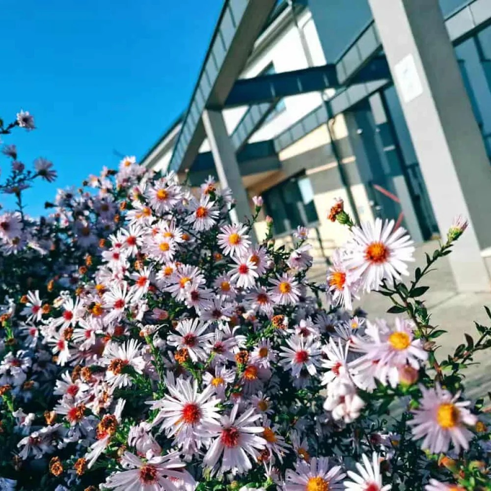 Tiszaföldvár ingatlanok