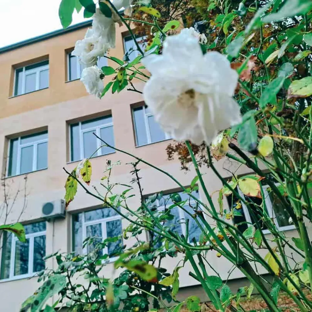 Tiszaföldvár közösségi eseményei és programjai - Közösségi élet