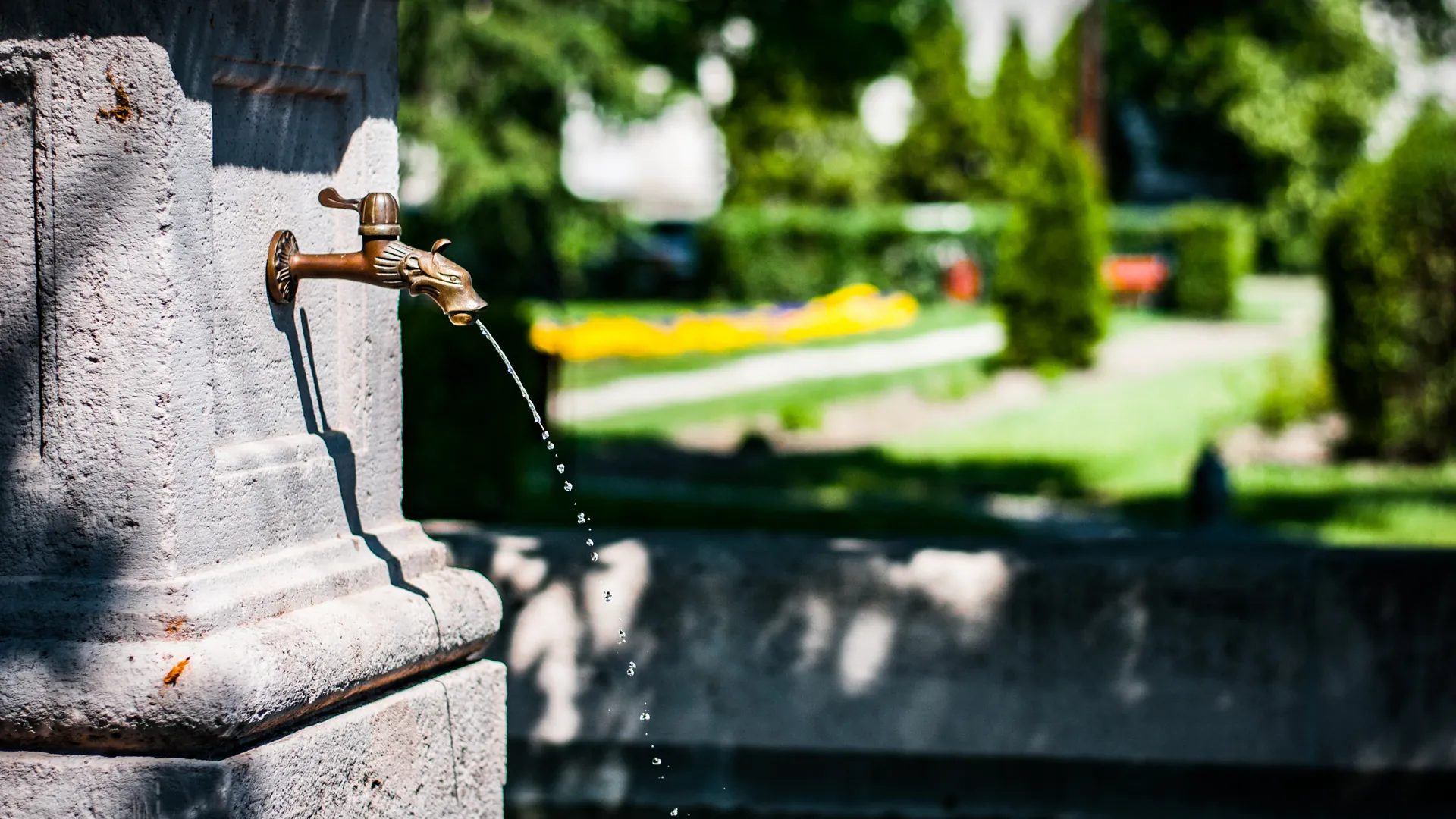 Tiszaföldvár kapcsolat hero kép