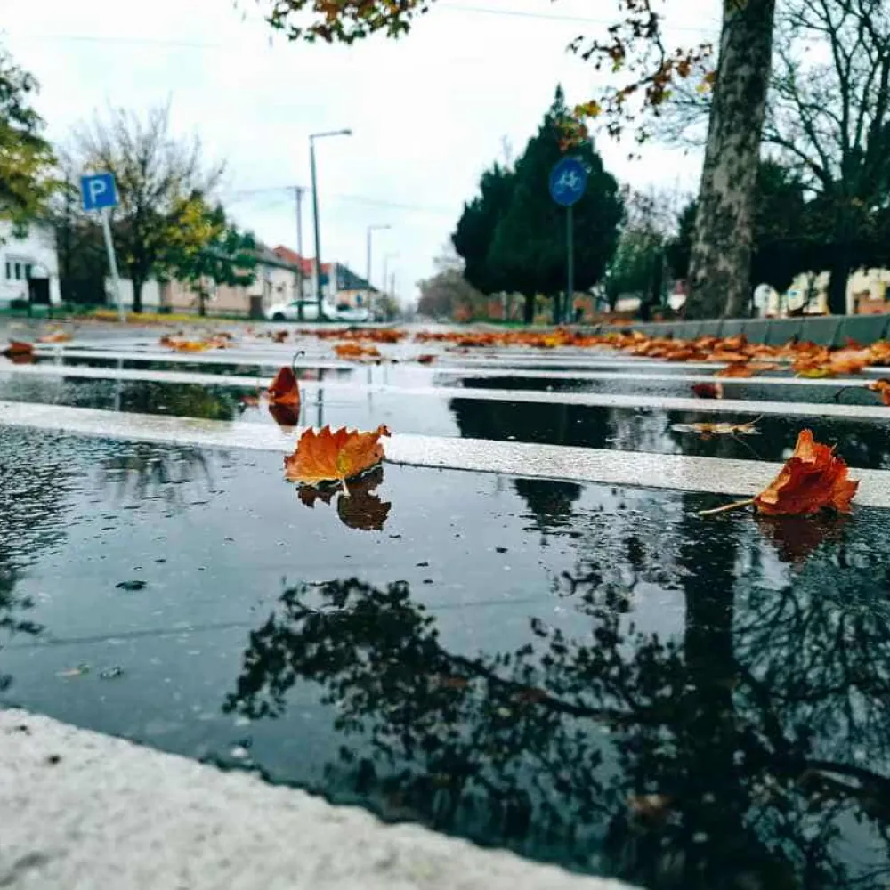 Tiszaföldvár közösségi eseményei és programjai - Közösségi élet
