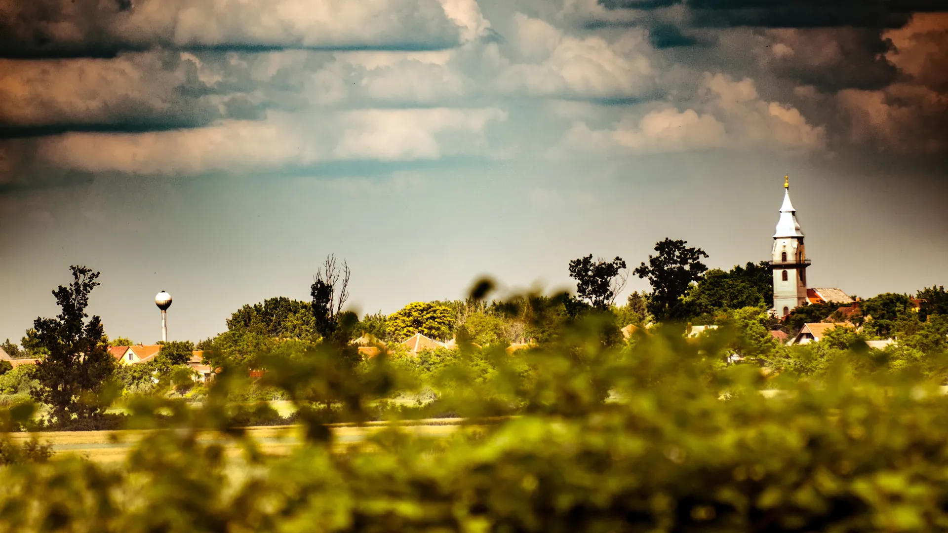 Tiszaföldvár közösségi élet hero kép