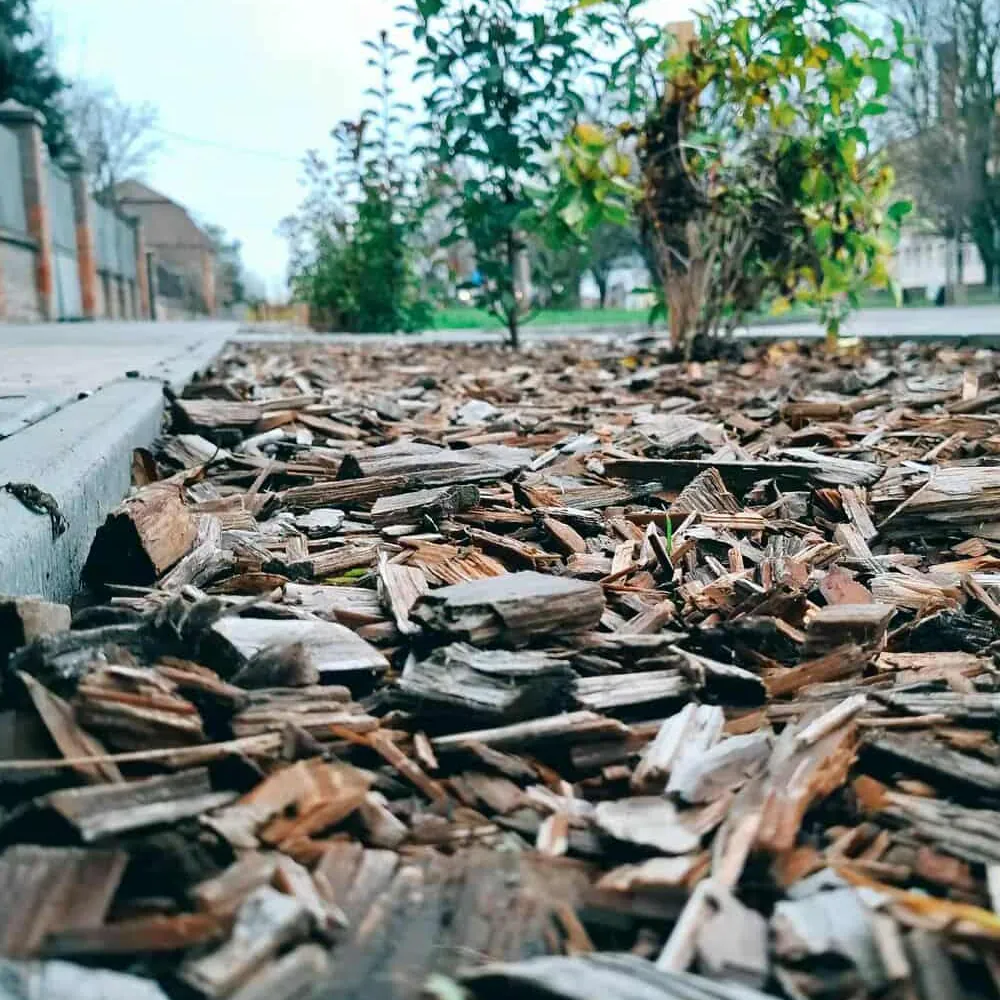 Tiszaföldvár közösségi eseményei és programjai - Közösségi élet