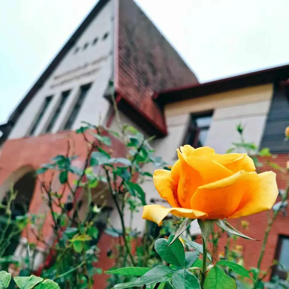 Tiszaföldvár kincsei